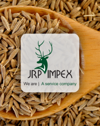 Cumin Exporters from India