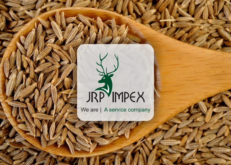 Cumin Exporters from India