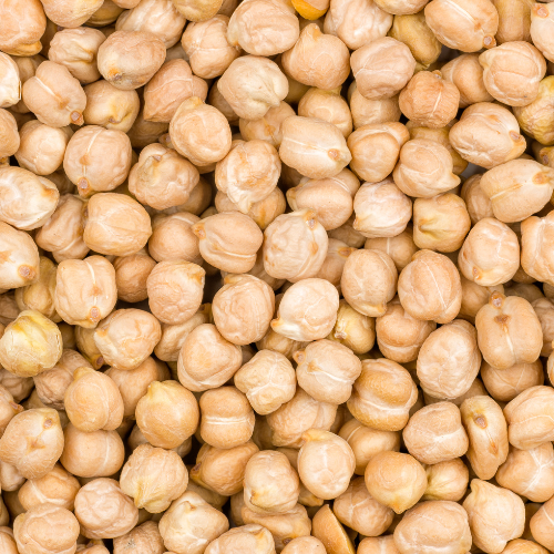 Top White Chickpeas Exporter & Supplier in India | JRP Impex