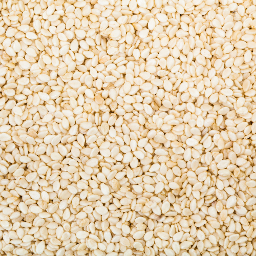 Top White Sesame Seeds Manufacturer, Supplier & Exporter in India | JRP Impex