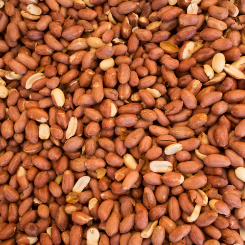 Top Raw Peanuts Manufacturer, Supplier & Exporter in India - JRP Impex