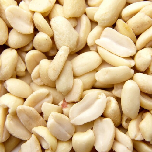 Top Blanched Peanuts Manufacturer, Supplier & Exporter in India | JRP Impex