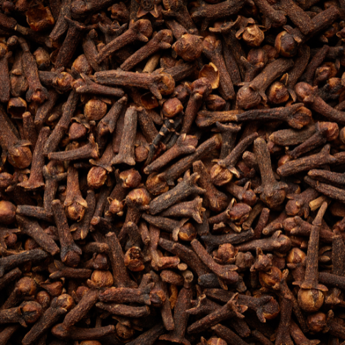 Top Cloves (Laung) Manufacturer, Supplier & Exporter in India | JRP Impex