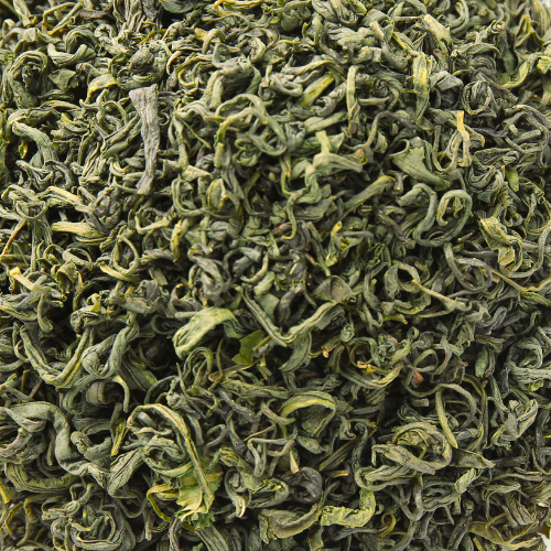 Top Green Tea Exporter & Supplier in India | JRP Impex